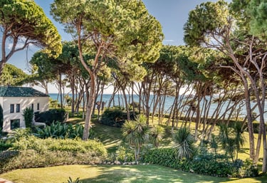 Private beachfront estate with manicured gardens and pine grove