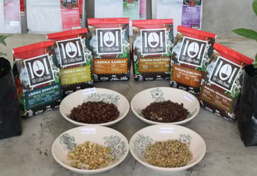 kopi produksi 101 coffee house berasal dari berbagai daerah indonesia dengan jenis arabika robusta dan liberika