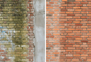 Andes y después de una pared recubierta de moho