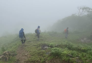 Aventura de trekking en la Sierra Nevada, Paramo