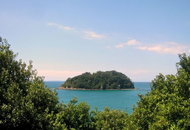 Vista da trilha para a ilha, com o mar ao fundo e vegetação ao redor.