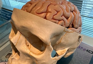 Doenças neurológicas tratadas pelo neurocirurgião