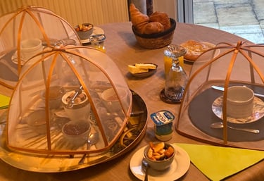 petits dejeuners majoritairement bio fait avec des produits locaux maison en partenariat avec une 