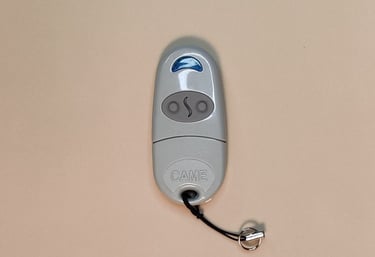 Vartų pulteliai CAME – geras pasirinkimas už sąžiningą kainą.