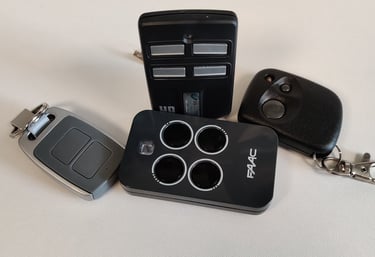 FAAC vartų pulteliai - platus pasirinkimas, originalai ir dublikatai