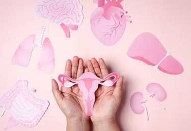 Hands holding a pink paper uterus surrounded by paper icons of human organs on a pink background.