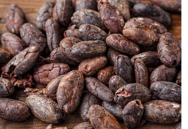  dry cocoa beans