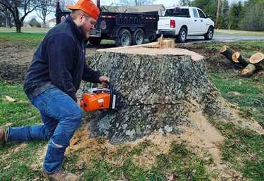 man cutting a very large stump with a chainsaw