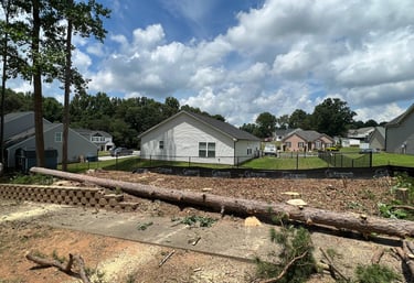 Tree cut with a chainsaw and fallen down