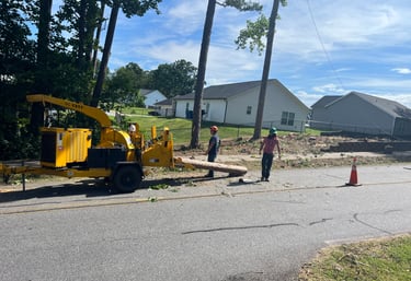 men putting logs into a wood chipper
