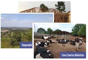 Fotocollage von 3 Projekten