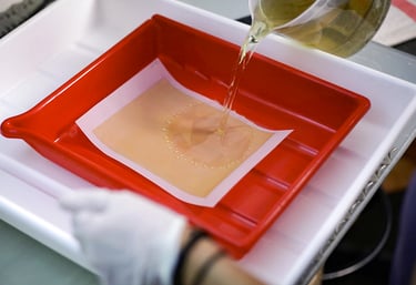 platinum photo that reveals in the photo lab