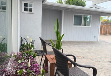 Serene outdoor space