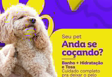 Banho e Tosa com produtos da mais alta qualidade Traty Vet