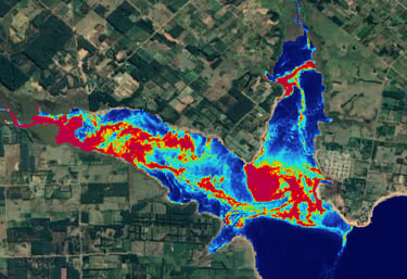 Chlorophyll concentrtion map