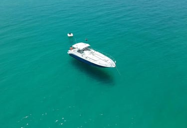 Sea Ray 47 yate renta cabo san lucas