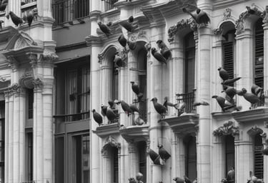 Technician managing urban wildlife control with equipment in a city setting