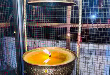 माता रानी की अखंड ज्योत 