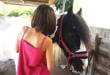 Une petite fille de dos brosse son poney lors d'une séance d'équithérapie