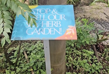 Andaz Singapore rooftop herb garden supplying fresh herbs to hotel dining