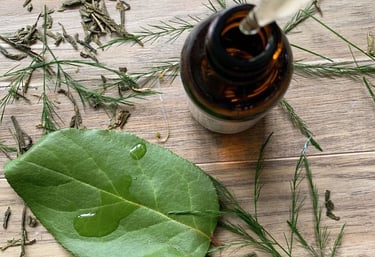 serum_romarin