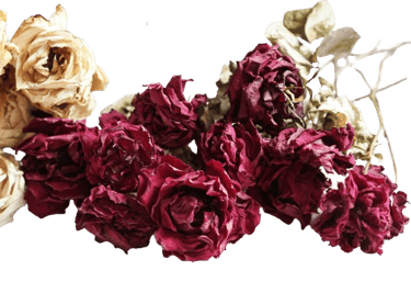 Flower preserving resin 