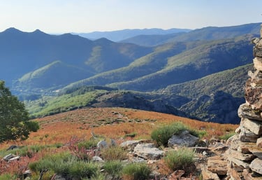 Vue depuis la Serre de More en dessus de Saint-Gervais-sur-Mare, Hérault