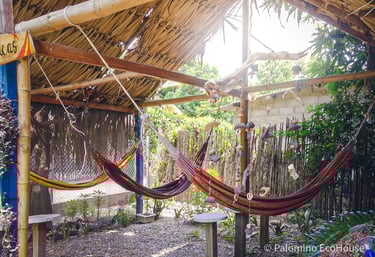 cabaña rustica con hamacas y mucha vegetación
