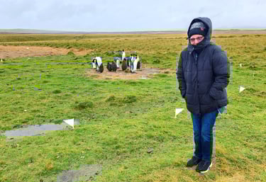 Lady braves the weather to see the Penguins at Bluff Cove in the Falkland Islands