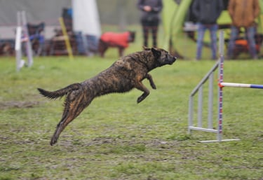 photographe orléans