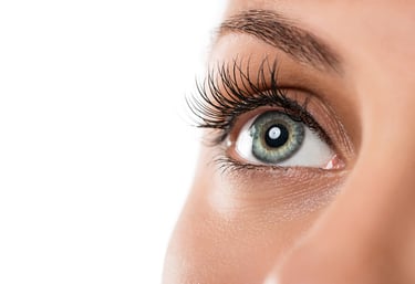 Image of Eyebrow and Eyelashes