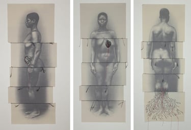 obra de Rosana Paulino