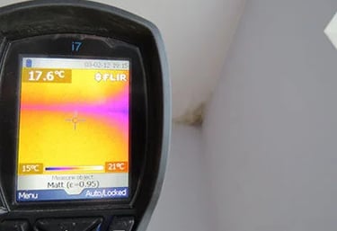 Tyrimas diagnostika dėl medžio grybo "Trobagrybio" priežastims nustayti