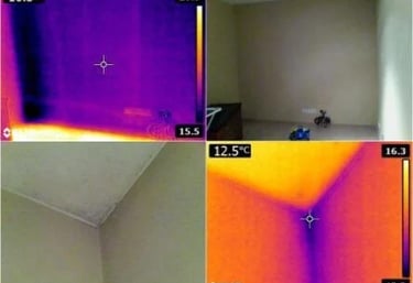 Termovizija, termoviziniai tyrimai, termovizines nuotraukos, termovizija