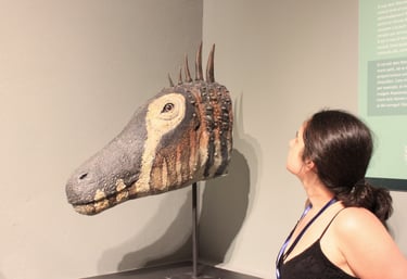Museos, actividades para socios visitas culturales dinosaurios