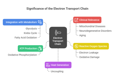 ETC significance