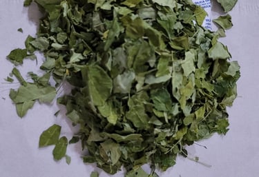 Dried moringa leaf – nutrient-rich herbal product exporter from Indonesia - adely eco nusantara