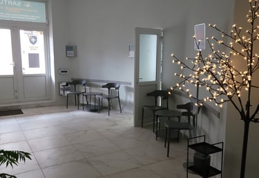 a room with a tree and a plant in the middleconsultation with a neurologist