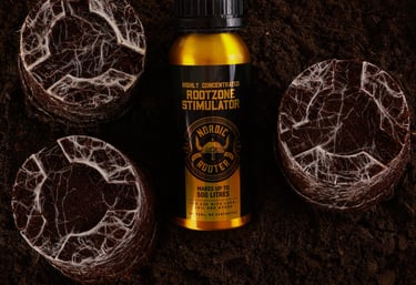 Top down view of Nordic Rooter and white roots.