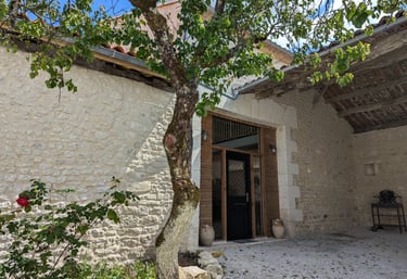 a tree in a courtyard with a tree in the background