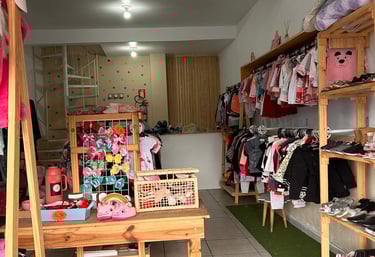 Brecho Infantil Sapucaia RS
