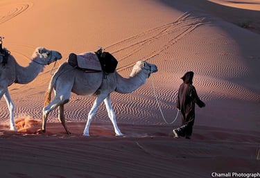 morocco photography tours