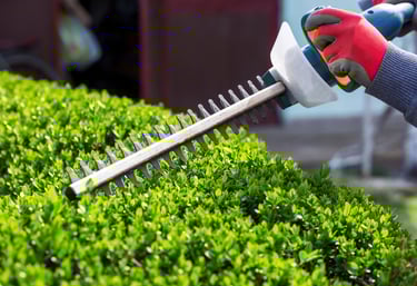 Maintain your landscape throughout the year with precision shrub trimming services.