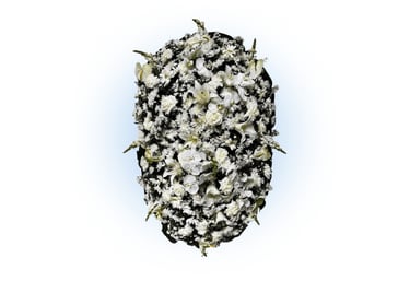 Imagem mostra coroa de flores da Velar em São Paulo