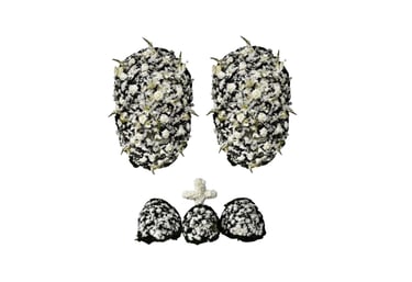 Imagem mostra coroa de flores da Velar em São Paulo