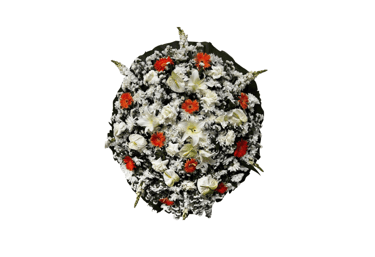 Imagem mostra coroa de flores da Velar em São Paulo