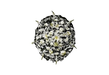 Imagem mostra coroa de flores da Velar em São Paulo