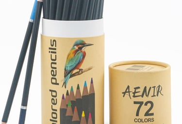 Colored Pencils NeuroSomatic Art