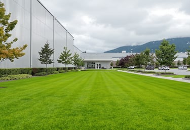 large industrial lawn