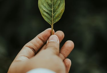 VANT Engenharia oferece soluções ambientais e segurança do trabalho com atuação nacional.